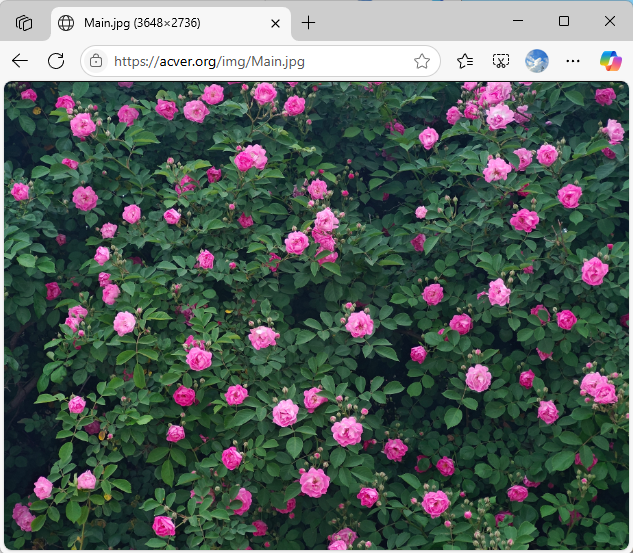 统一资源定位器/符（Uniform Resource Locator，简称URL）